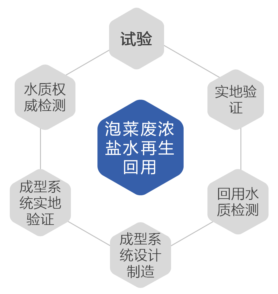 公司定位于專(zhuān)業(yè)水處理技術(shù)服務(wù)、技術(shù)研發(fā)